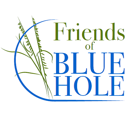 Friends of Blue Hole