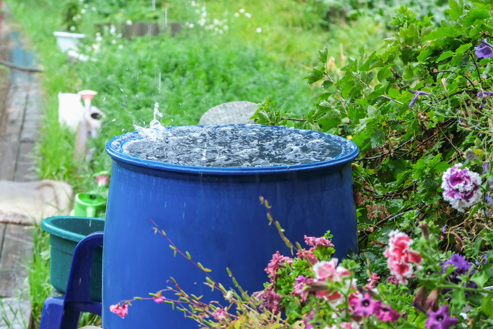 Aqua Texas Legal Battle & Rainwater Harvesting